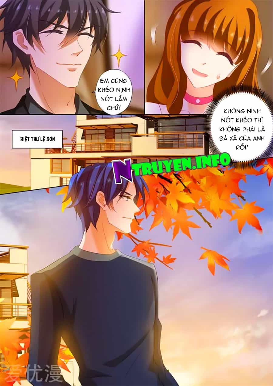 Hào Môn Thiên Giới Tiền Thê - Chương 231 - ảnh 3