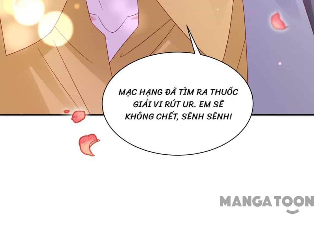 Hào Môn Thiên Giới Tiền Thê - Chương 744 - ảnh 38