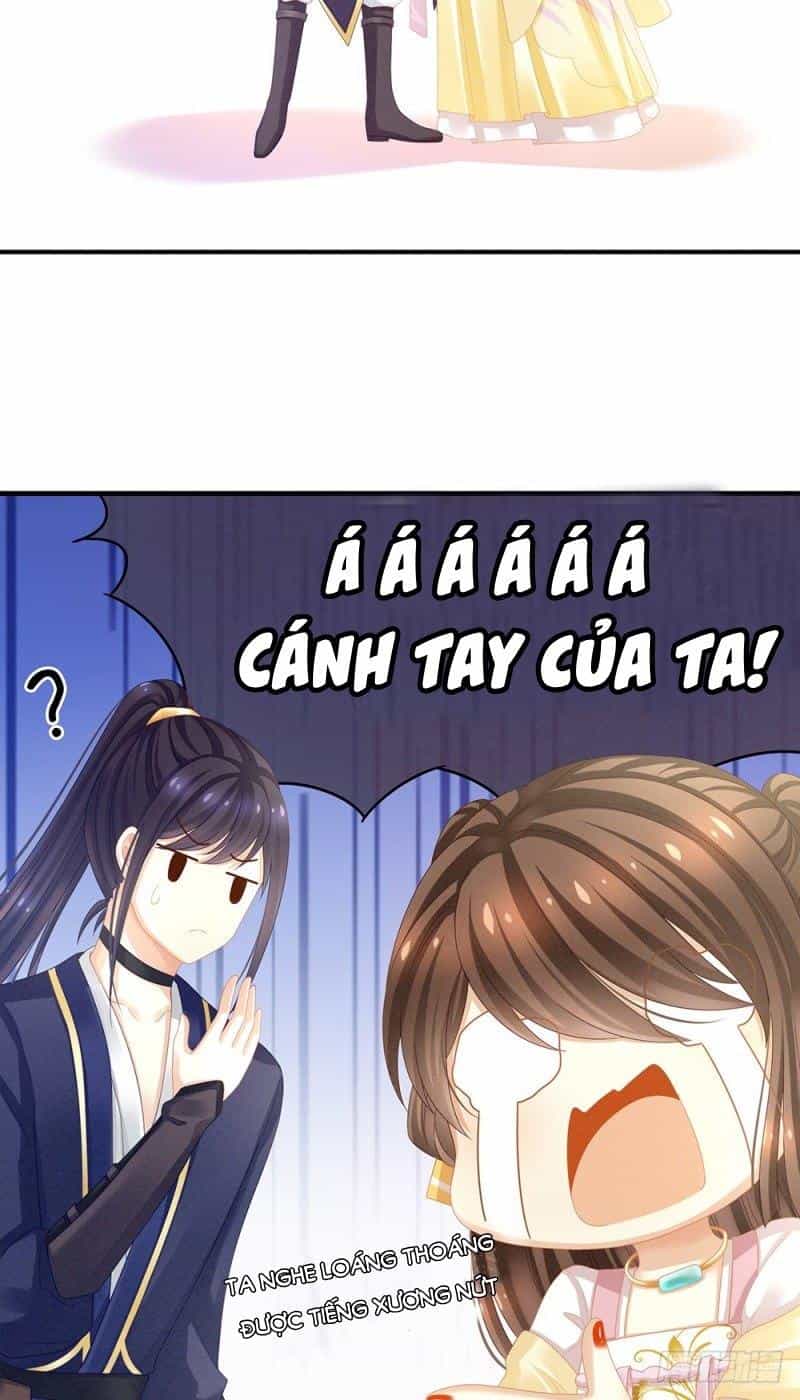 Hậu Cung Của Nữ Đế - Chương 16 - ảnh 14