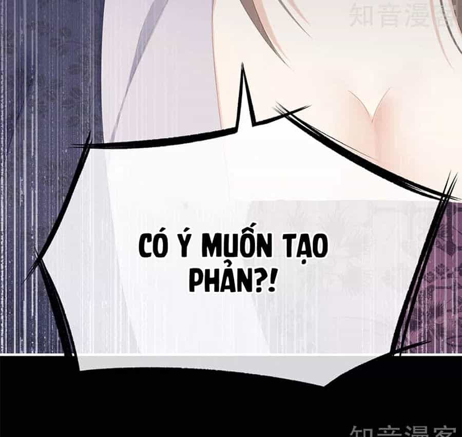 Hậu Cung Của Nữ Đế - Chương 181 - ảnh 58