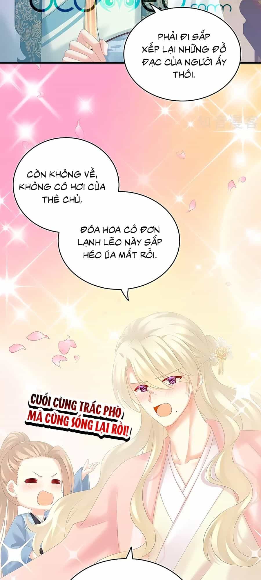 Hậu Cung Của Nữ Đế - Chương 188 - ảnh 5