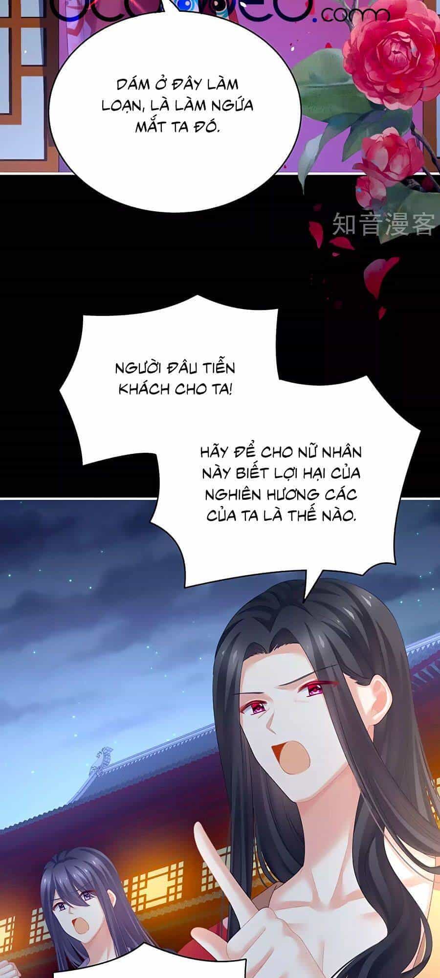 Hậu Cung Của Nữ Đế - Chương 227 - ảnh 34