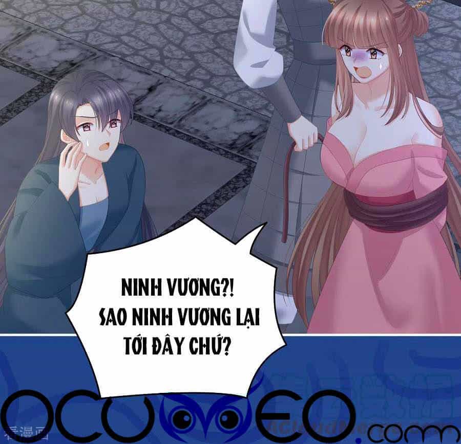 Hậu Cung Của Nữ Đế - Chương 238 - ảnh 4
