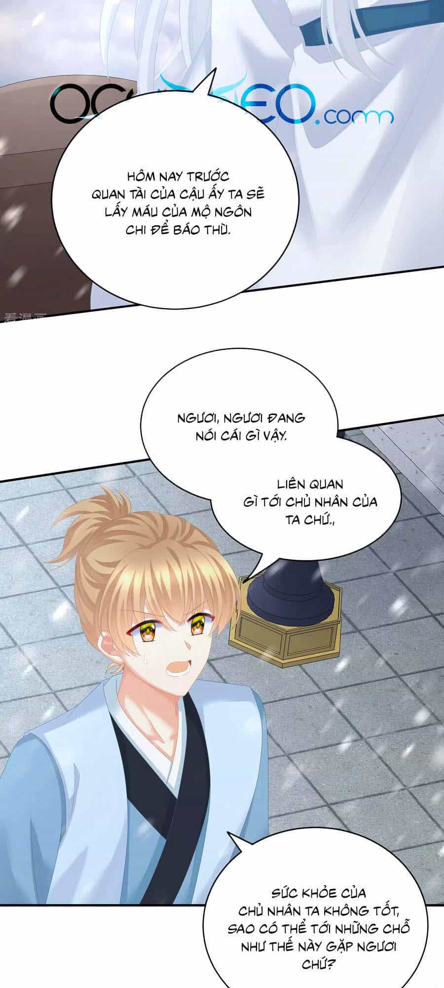 Hậu Cung Của Nữ Đế - Chương 252 - ảnh 16