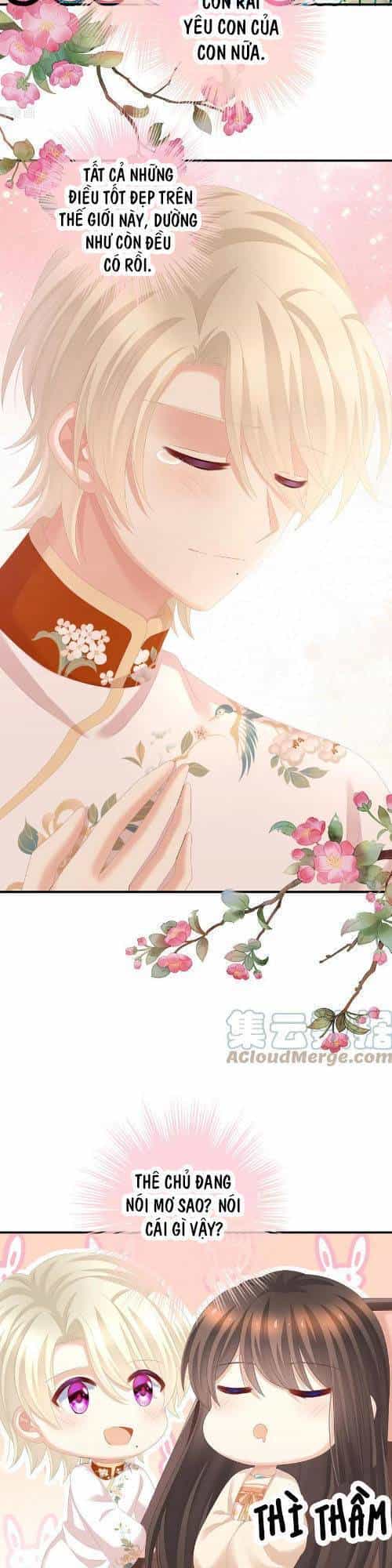 Hậu Cung Của Nữ Đế - Chương 290 - ảnh 15