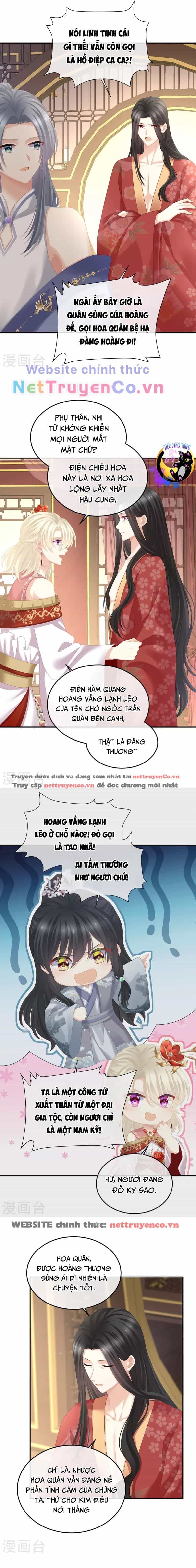 Hậu Cung Của Nữ Đế - Chương 380 - ảnh 3