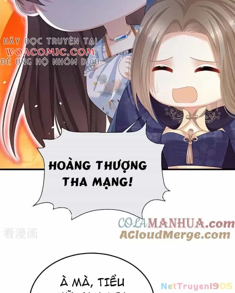 Hậu Cung Của Nữ Đế - Chương 395 - ảnh 2