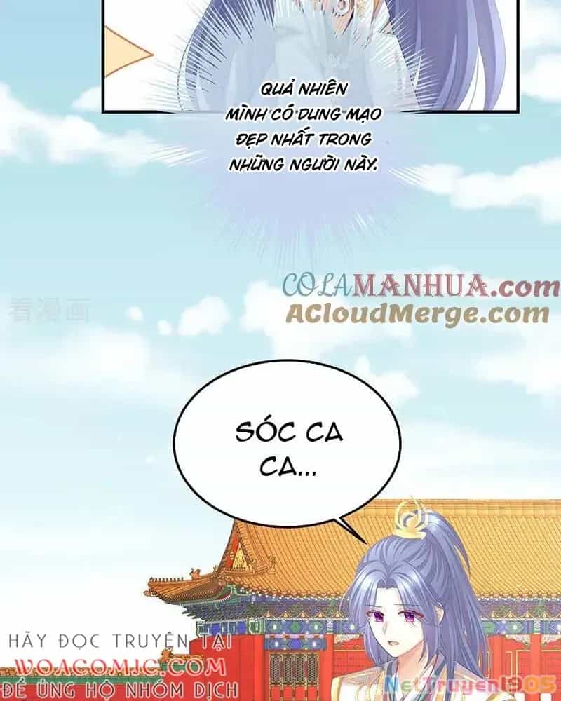 Hậu Cung Của Nữ Đế - Chương 397 - ảnh 13