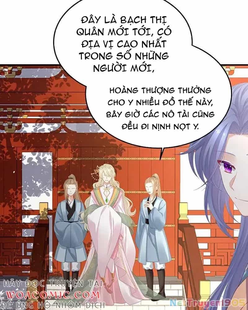 Hậu Cung Của Nữ Đế - Chương 397 - ảnh 25