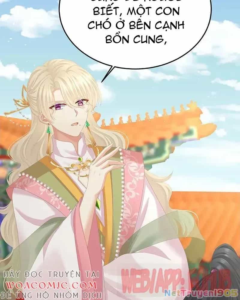 Hậu Cung Của Nữ Đế - Chương 425 - ảnh 22
