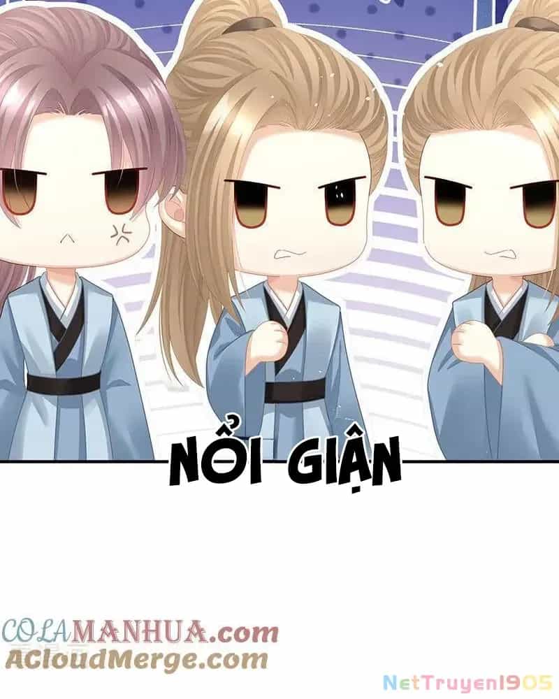 Hậu Cung Của Nữ Đế - Chương 425 - ảnh 6