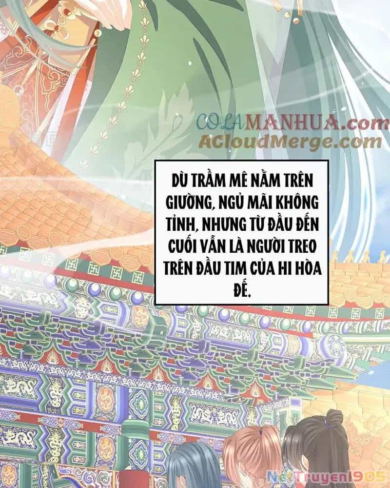 Hậu Cung Của Nữ Đế - Chương 390 - ảnh 11