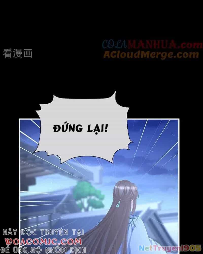 Hậu Cung Của Nữ Đế - Chương 392 - ảnh 40