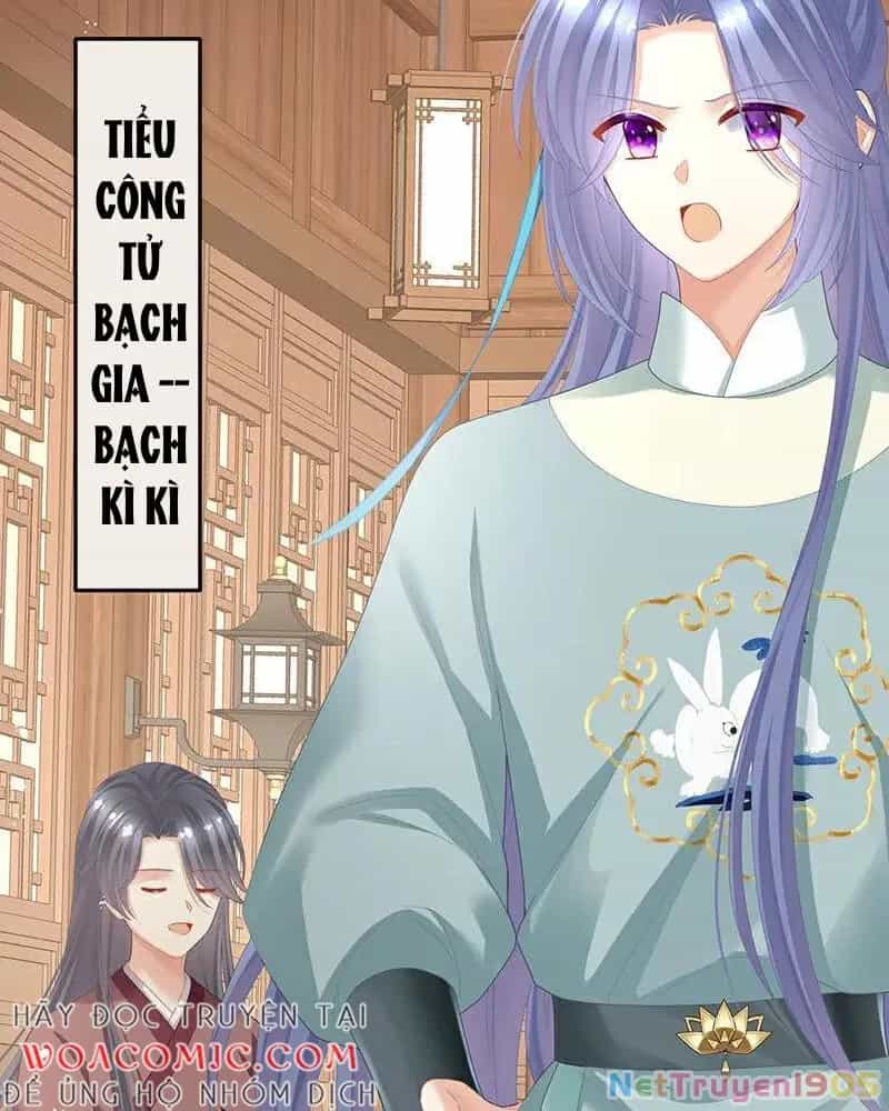 Hậu Cung Của Nữ Đế - Chương 394 - ảnh 17