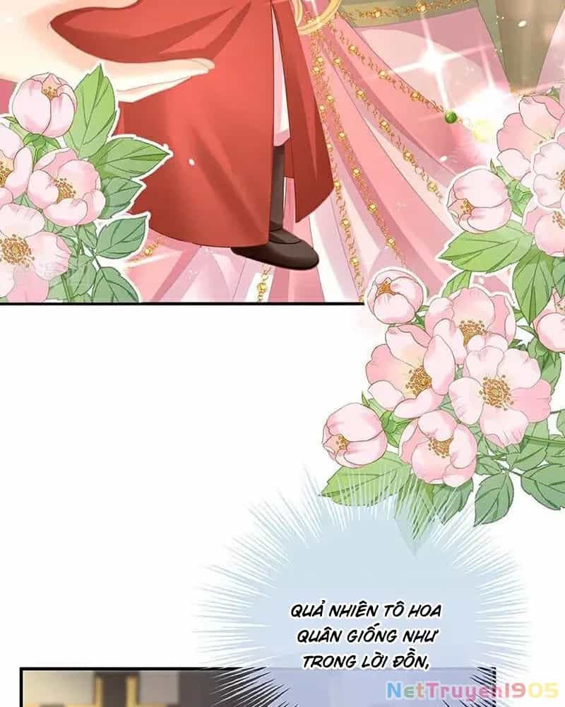 Hậu Cung Của Nữ Đế - Chương 396 - ảnh 16