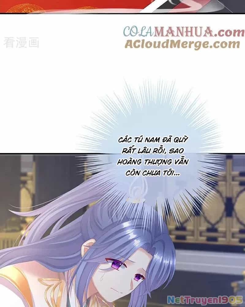 Hậu Cung Của Nữ Đế - Chương 396 - ảnh 8