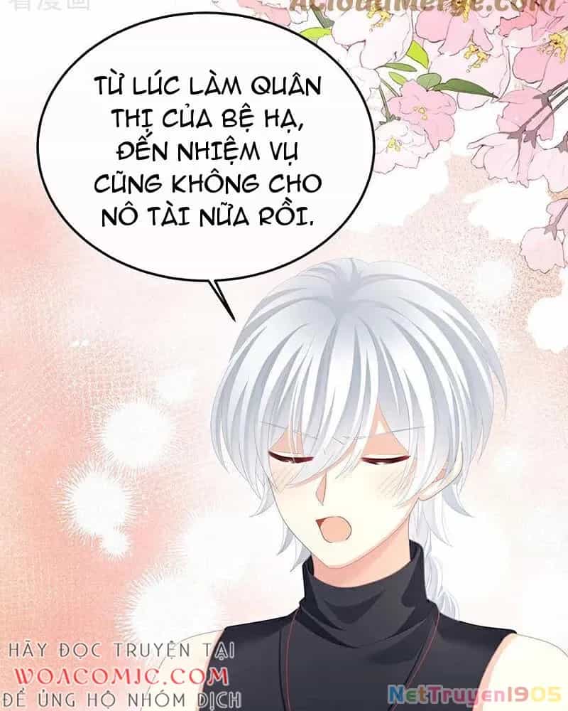 Hậu Cung Của Nữ Đế - Chương 401 - ảnh 17