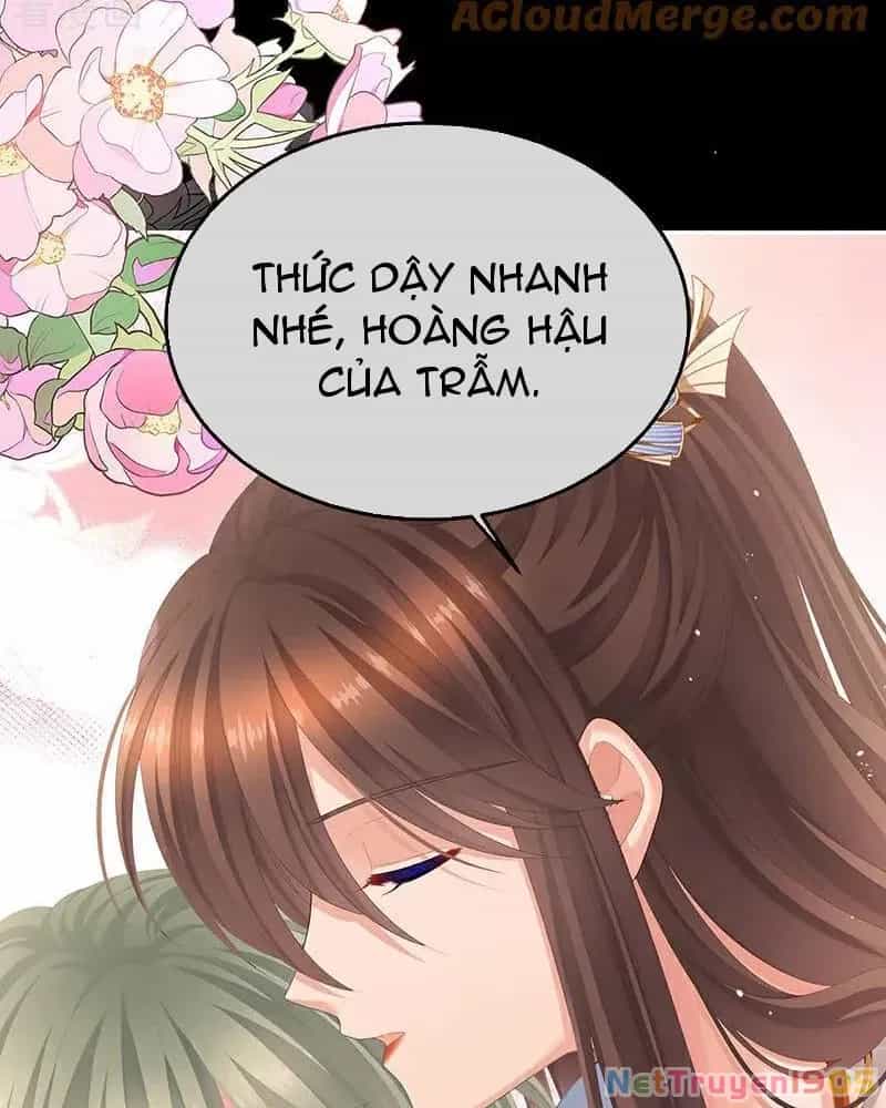 Hậu Cung Của Nữ Đế - Chương 402 - ảnh 26