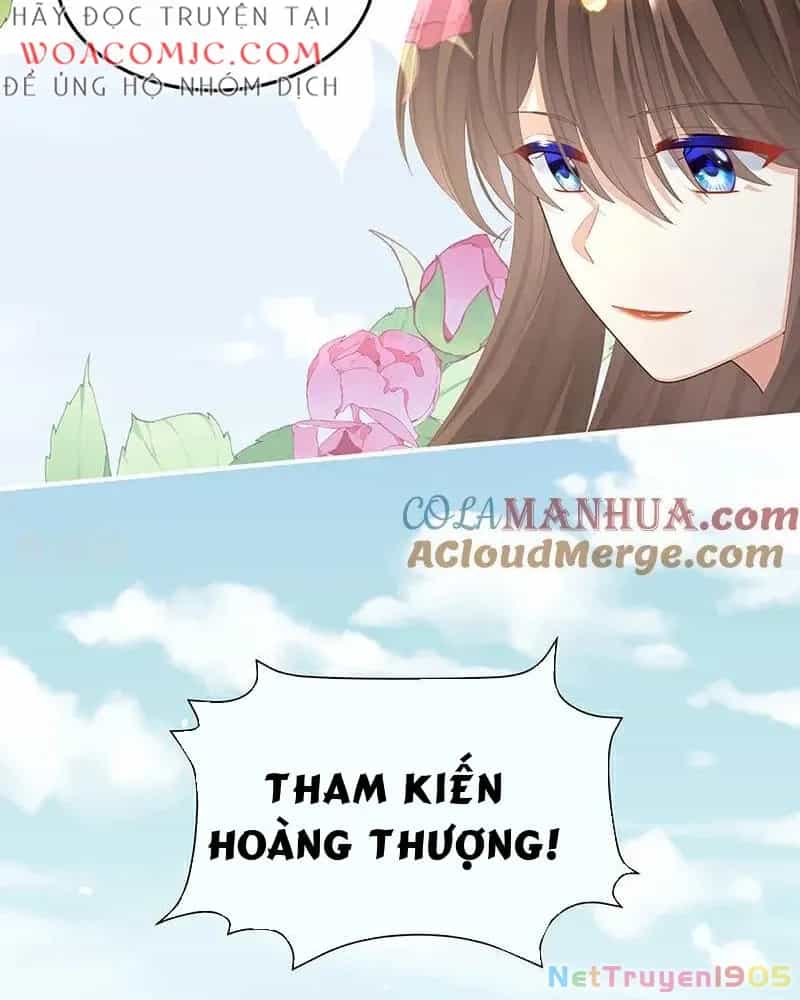 Hậu Cung Của Nữ Đế - Chương 407 - ảnh 6