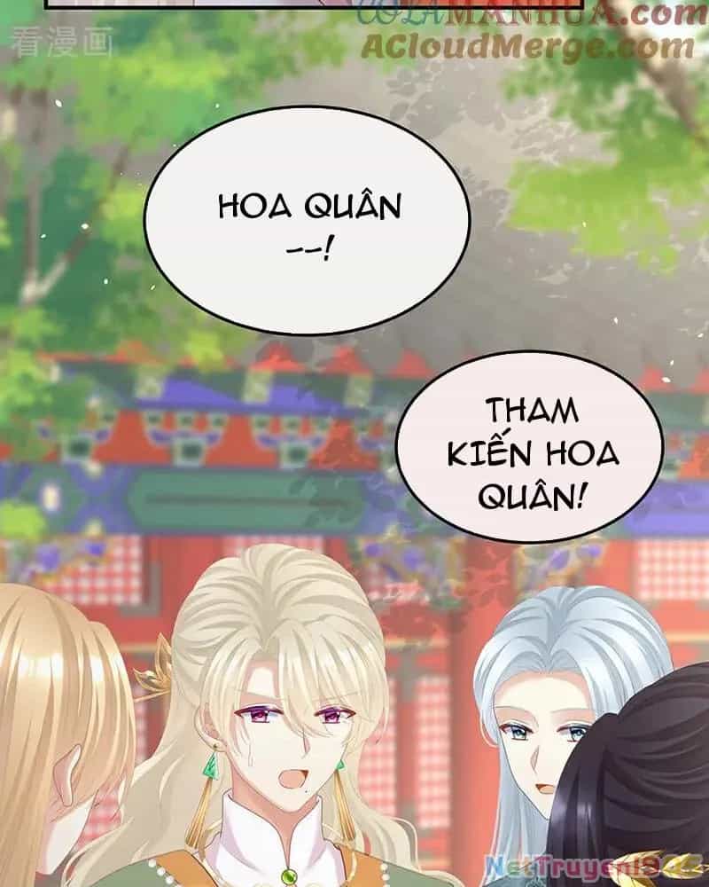 Hậu Cung Của Nữ Đế - Chương 412 - ảnh 36