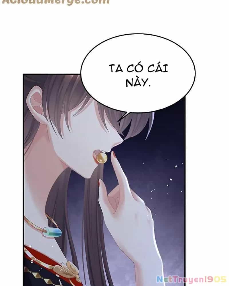 Hậu Cung Của Nữ Đế - Chương 415 - ảnh 8