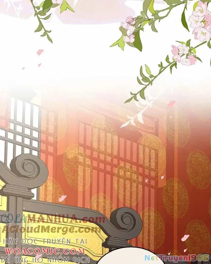 Hậu Cung Của Nữ Đế - Chương 419 - ảnh 11