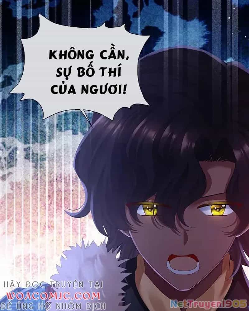 Hậu Cung Của Nữ Đế - Chương 422 - ảnh 5
