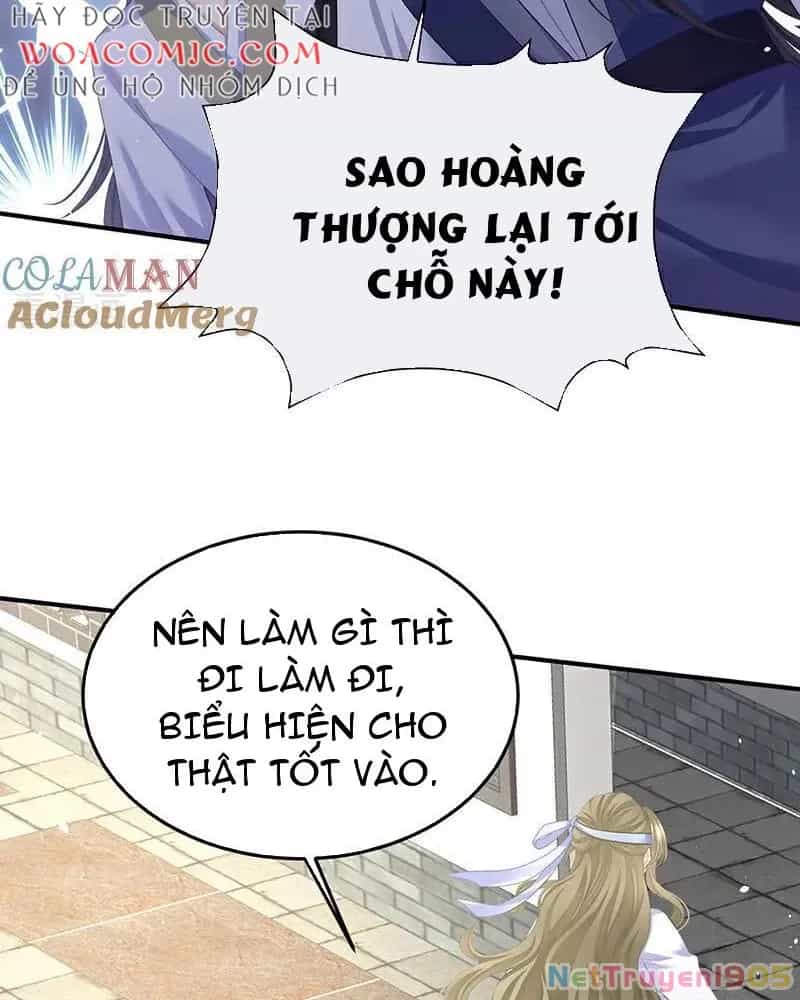Hậu Cung Của Nữ Đế - Chương 424 - ảnh 6