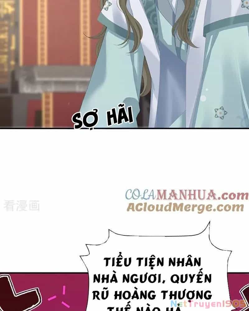 Hậu Cung Của Nữ Đế - Chương 427 - ảnh 11