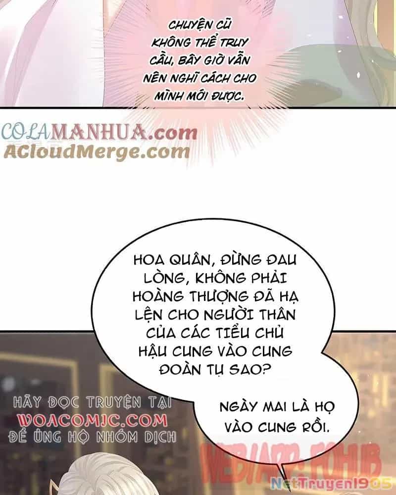 Hậu Cung Của Nữ Đế - Chương 427 - ảnh 25