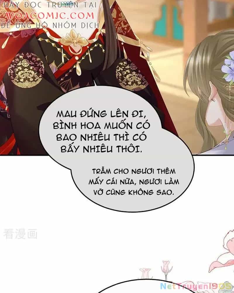 Hậu Cung Của Nữ Đế - Chương 429 - ảnh 12