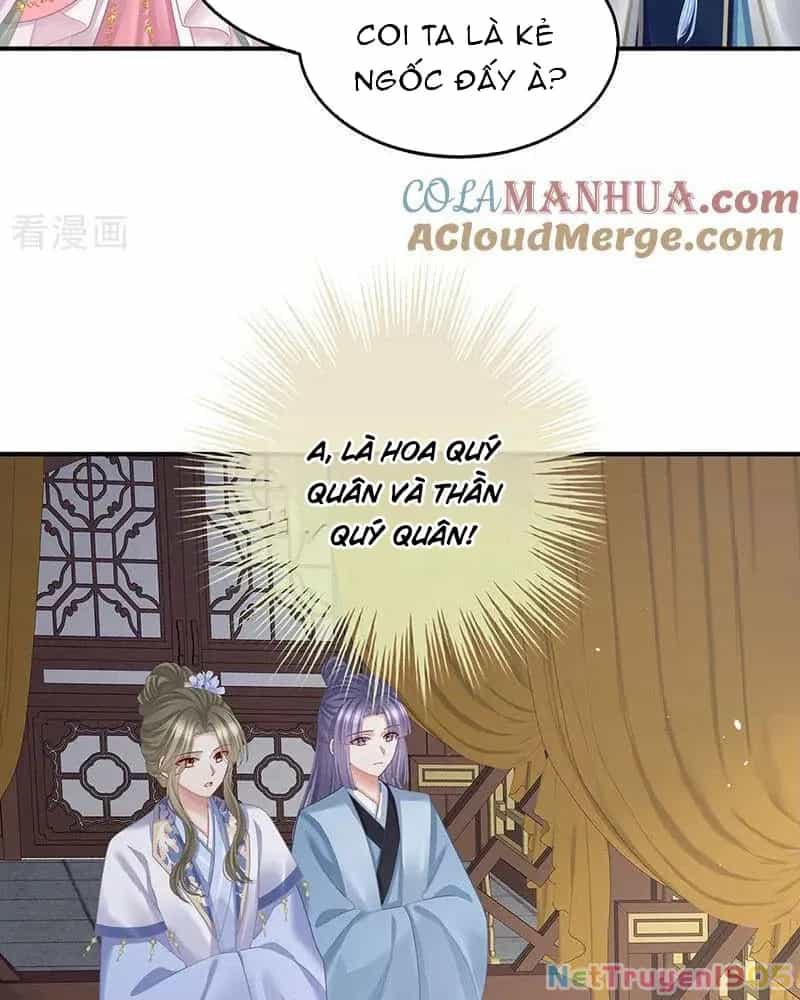 Hậu Cung Của Nữ Đế - Chương 429 - ảnh 21