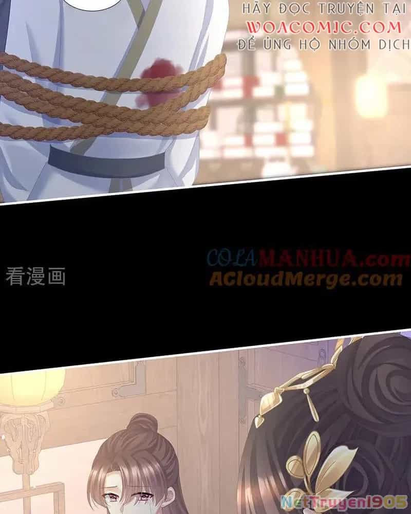Hậu Cung Của Nữ Đế - Chương 430 - ảnh 2
