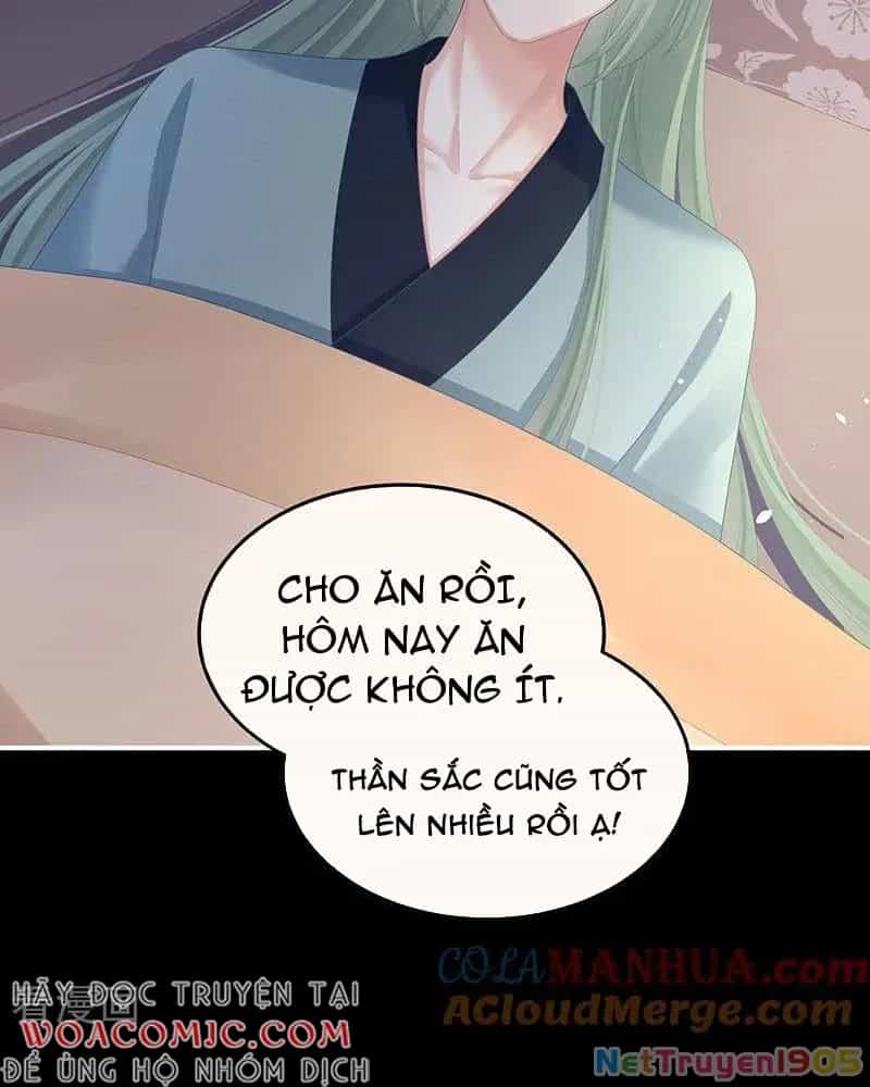 Hậu Cung Của Nữ Đế - Chương 433 - ảnh 44