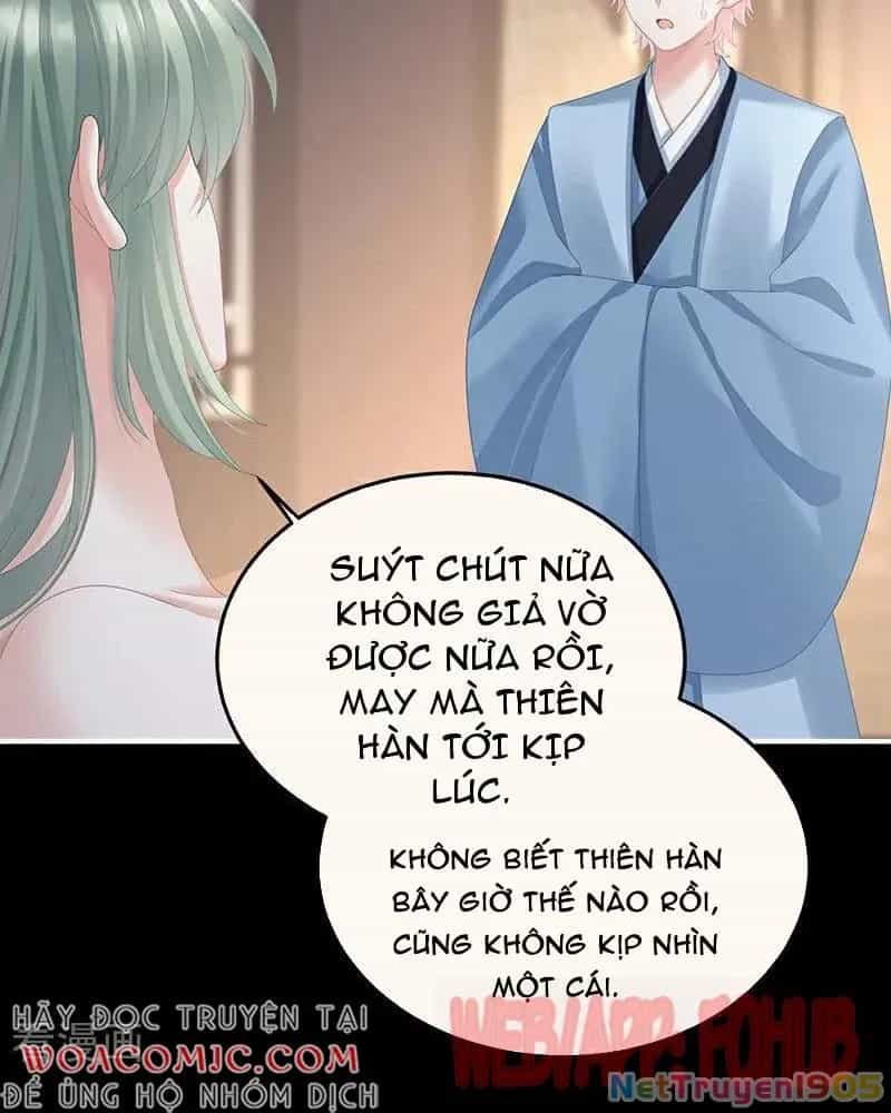 Hậu Cung Của Nữ Đế - Chương 434 - ảnh 19
