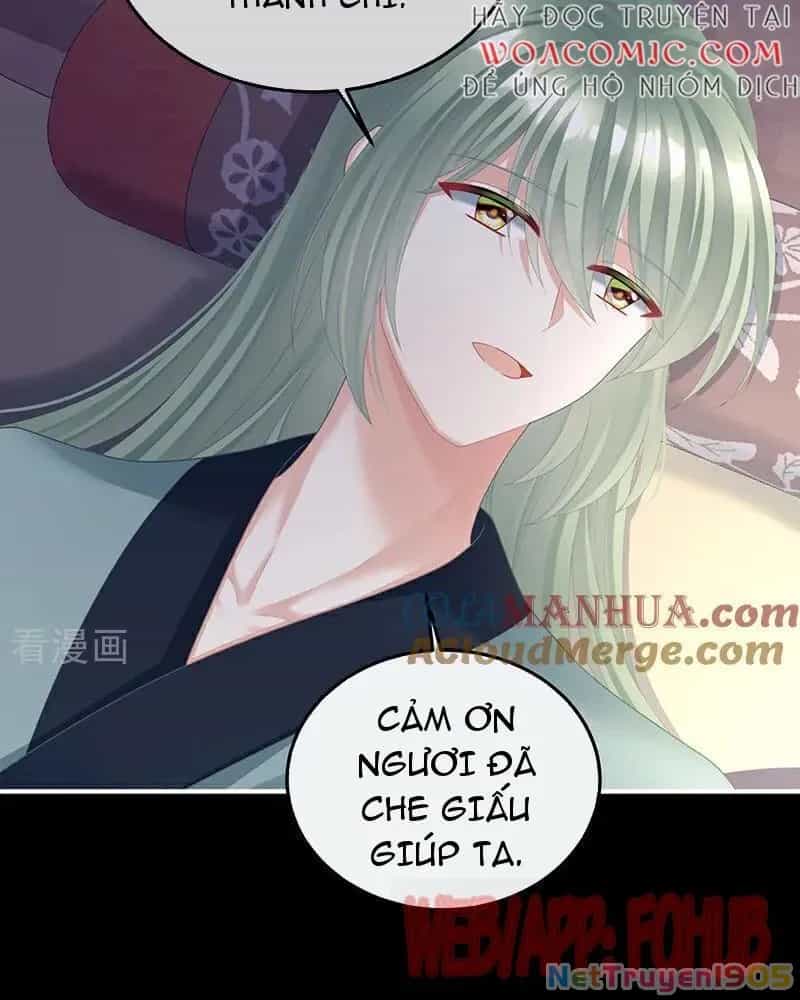 Hậu Cung Của Nữ Đế - Chương 434 - ảnh 58