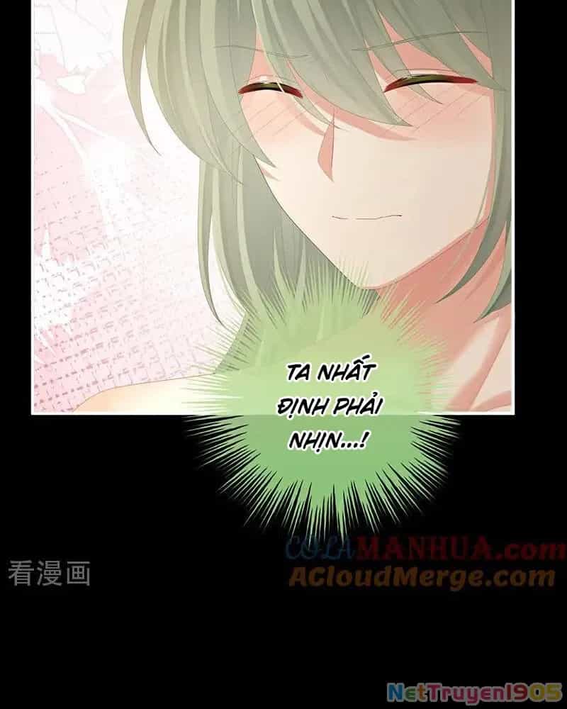 Hậu Cung Của Nữ Đế - Chương 434 - ảnh 6