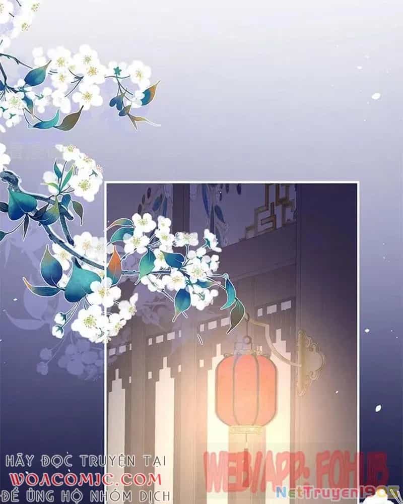Hậu Cung Của Nữ Đế - Chương 437 - ảnh 25