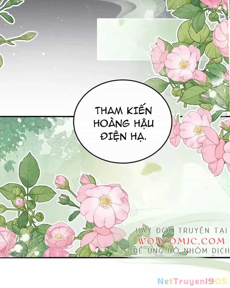Hậu Cung Của Nữ Đế - Chương 437 - ảnh 47