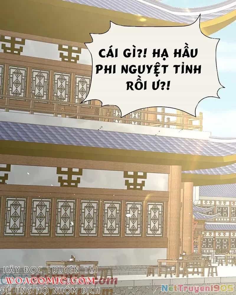 Hậu Cung Của Nữ Đế - Chương 438 - ảnh 5