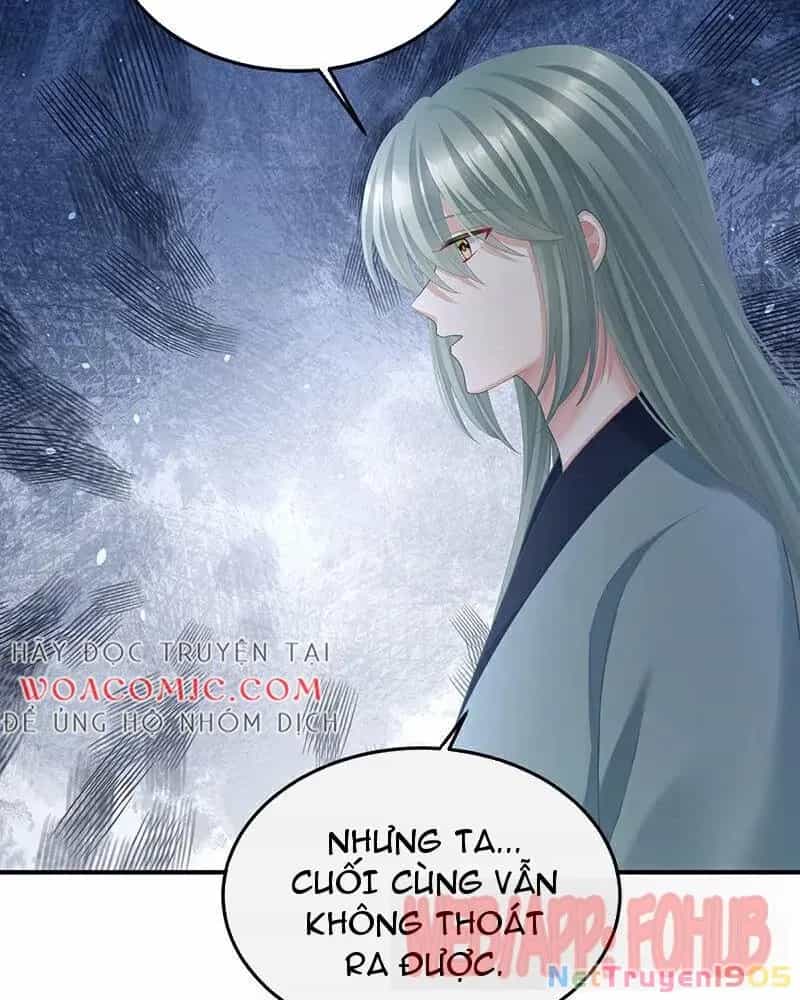 Hậu Cung Của Nữ Đế - Chương 442 - ảnh 34