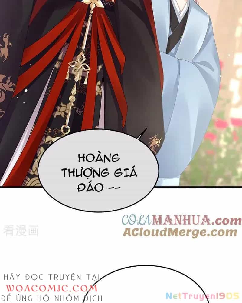 Hậu Cung Của Nữ Đế - Chương 442 - ảnh 5