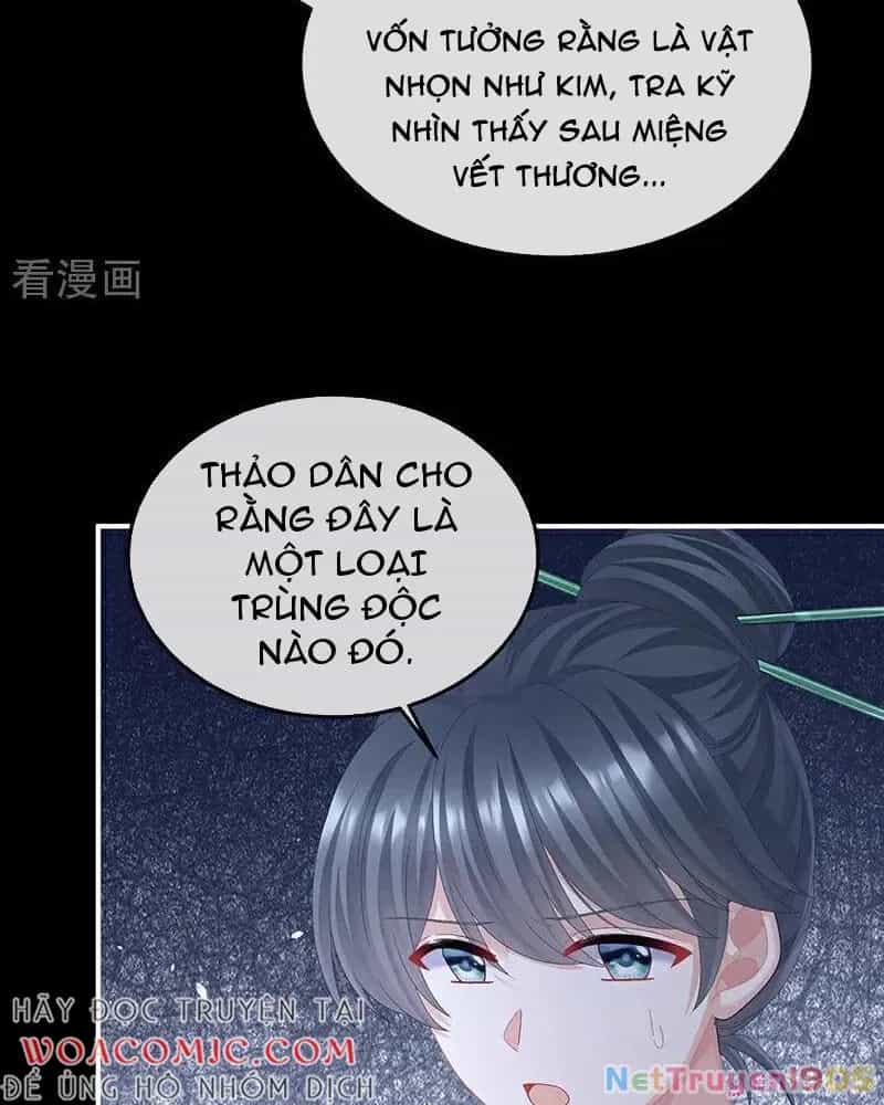 Hậu Cung Của Nữ Đế - Chương 446 - ảnh 9