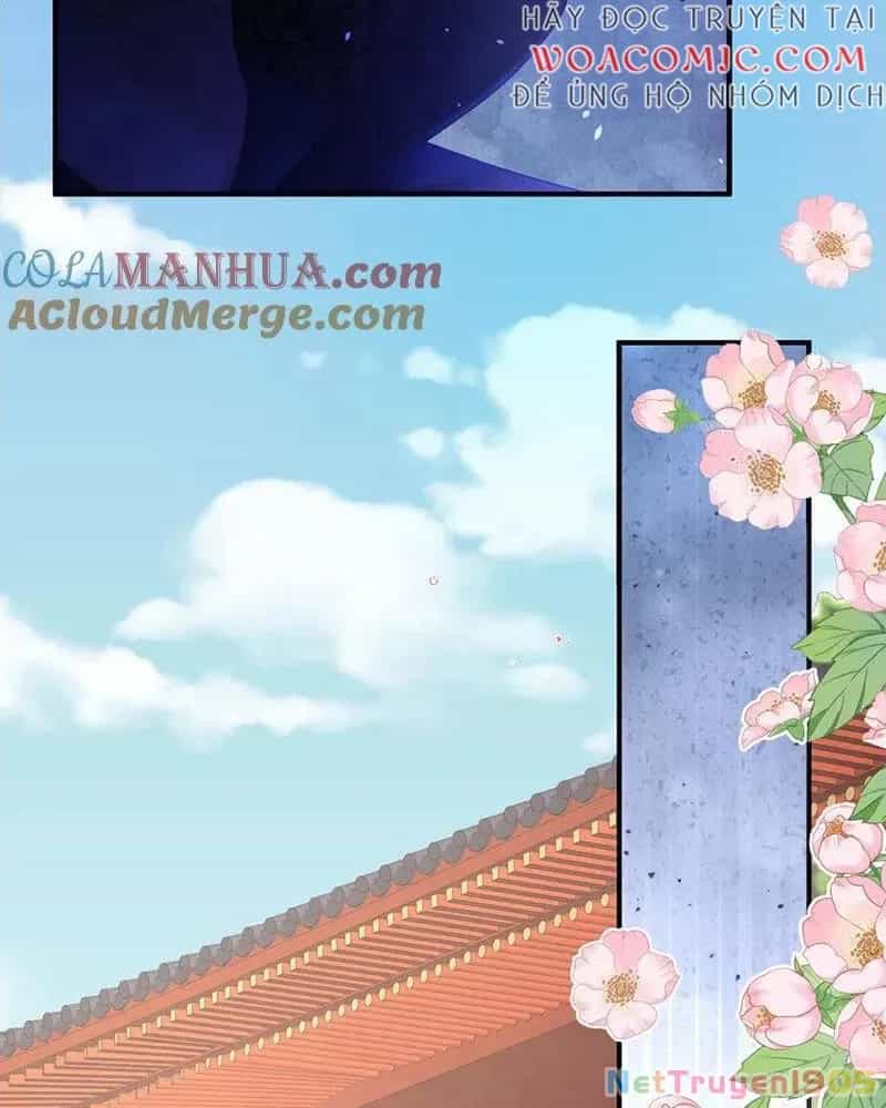 Hậu Cung Của Nữ Đế - Chương 447 - ảnh 47
