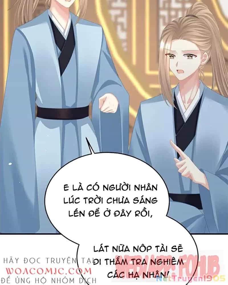 Hậu Cung Của Nữ Đế - Chương 448 - ảnh 13
