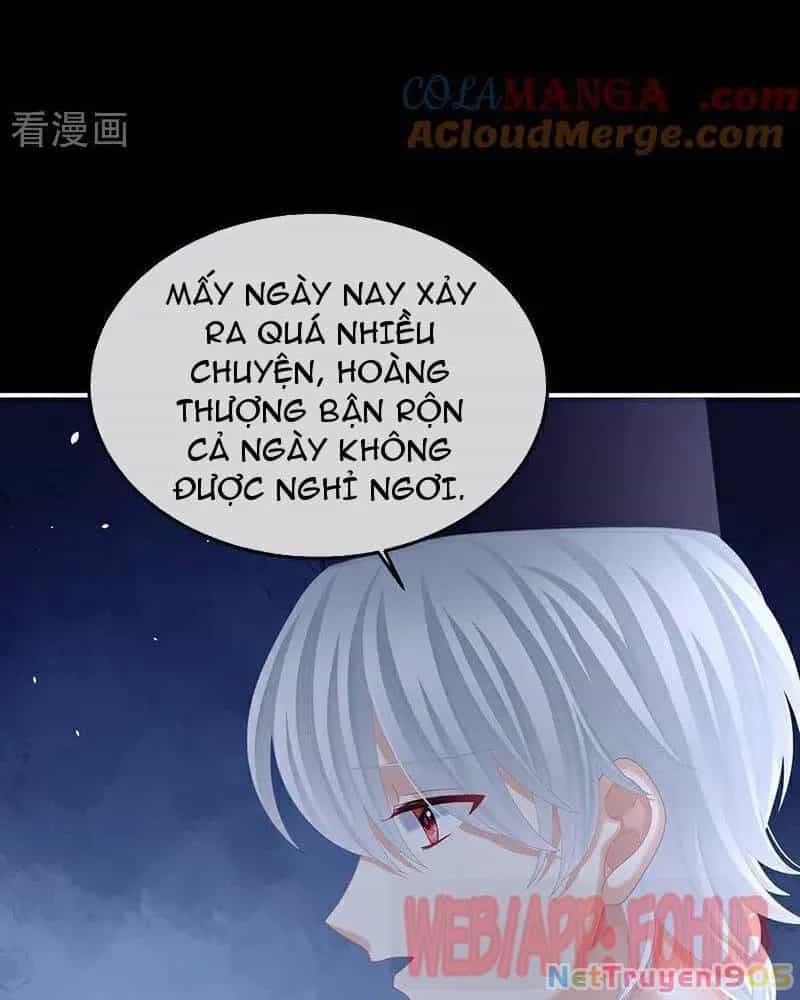 Hậu Cung Của Nữ Đế - Chương 460 - ảnh 10