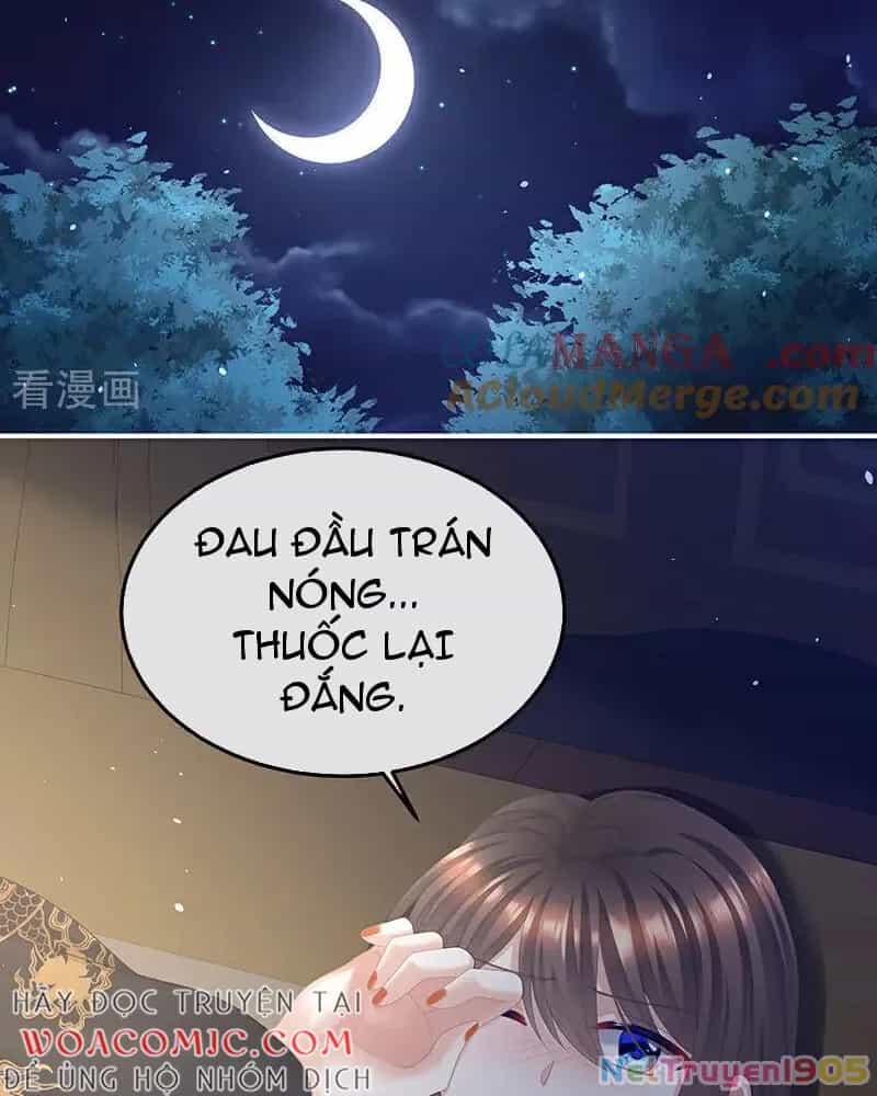 Hậu Cung Của Nữ Đế - Chương 460 - ảnh 17
