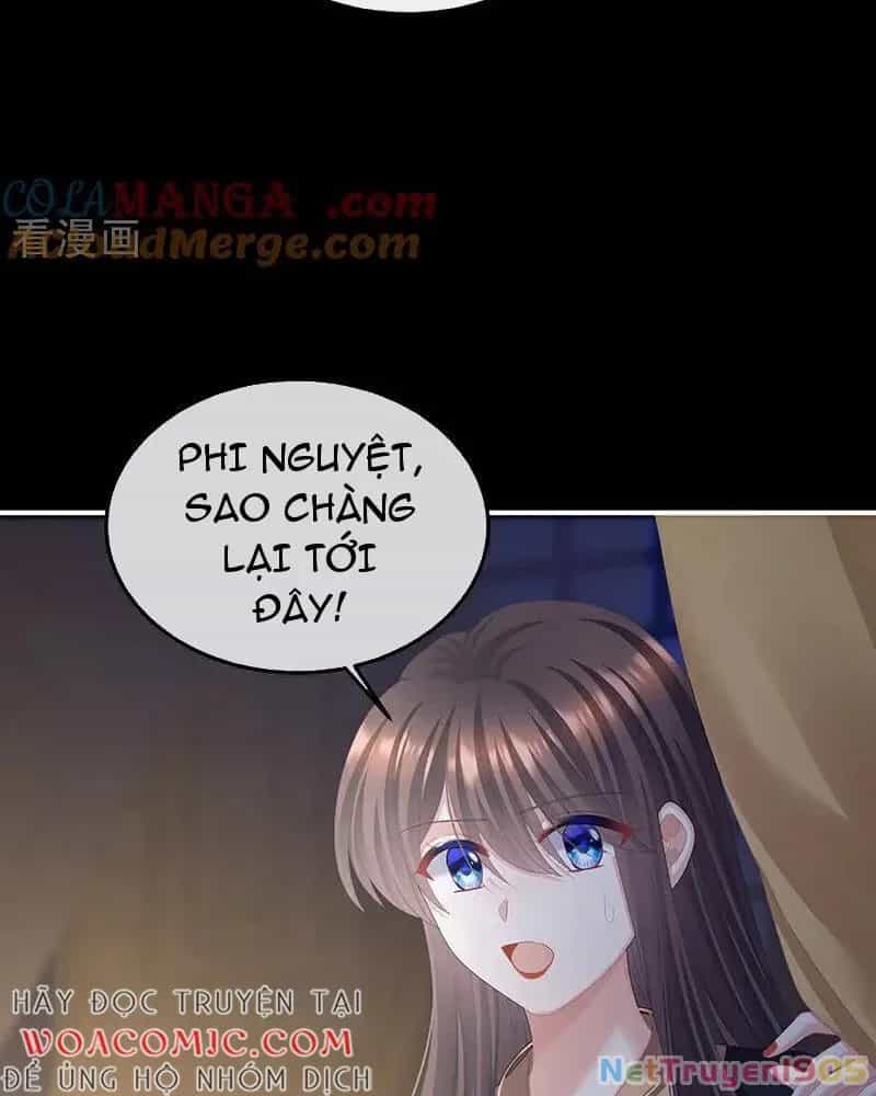 Hậu Cung Của Nữ Đế - Chương 460 - ảnh 24