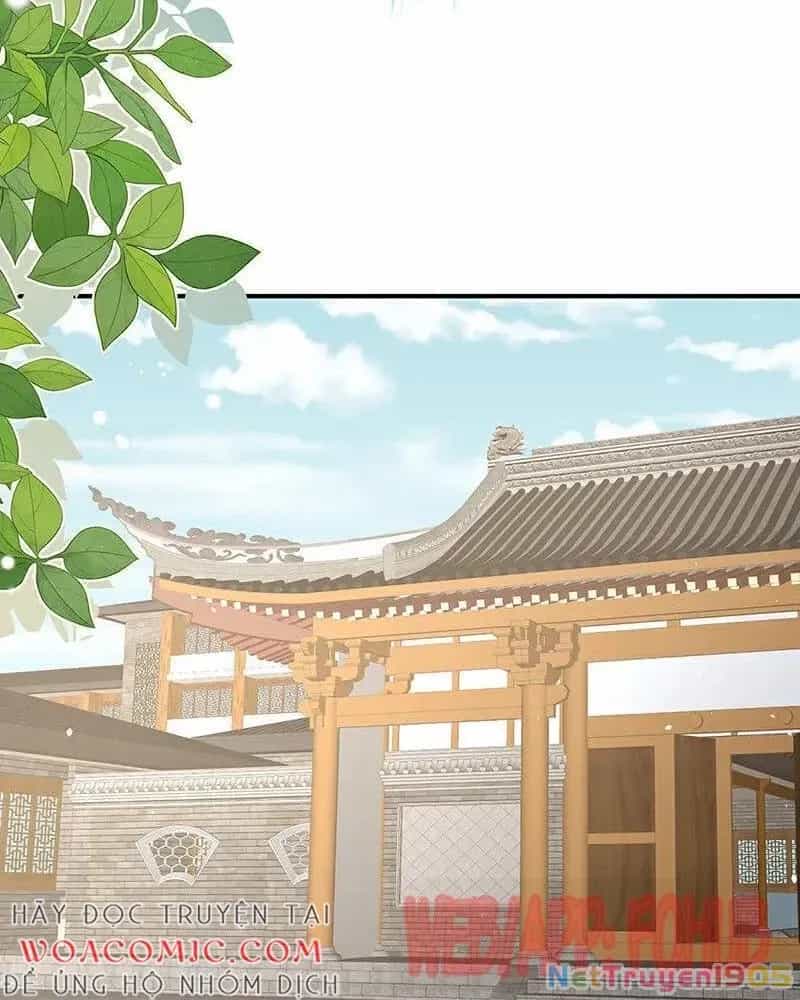 Hậu Cung Của Nữ Đế - Chương 463 - ảnh 13