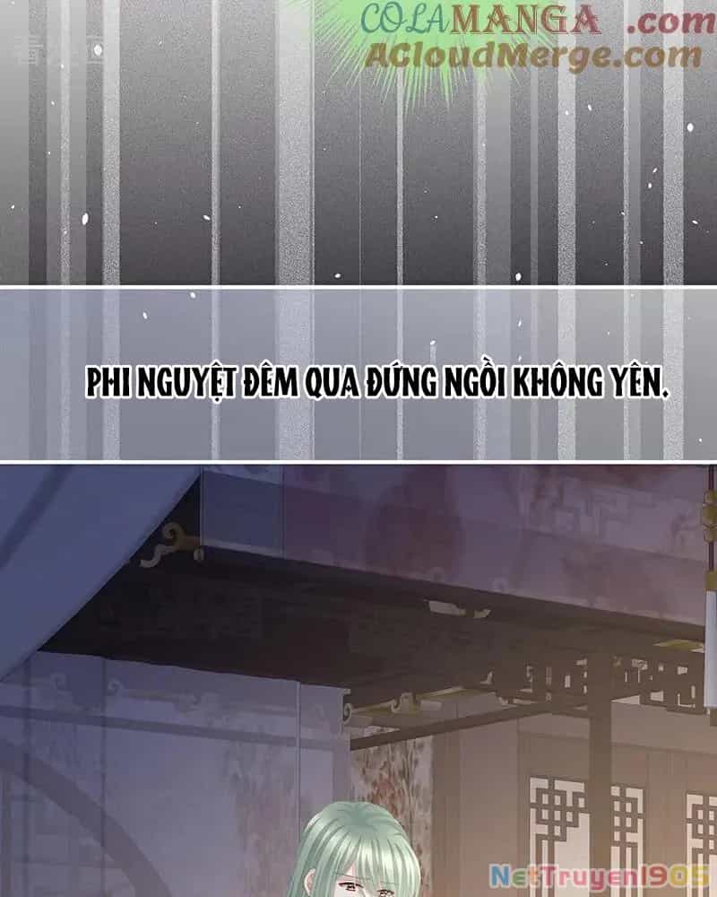 Hậu Cung Của Nữ Đế - Chương 464 - ảnh 30